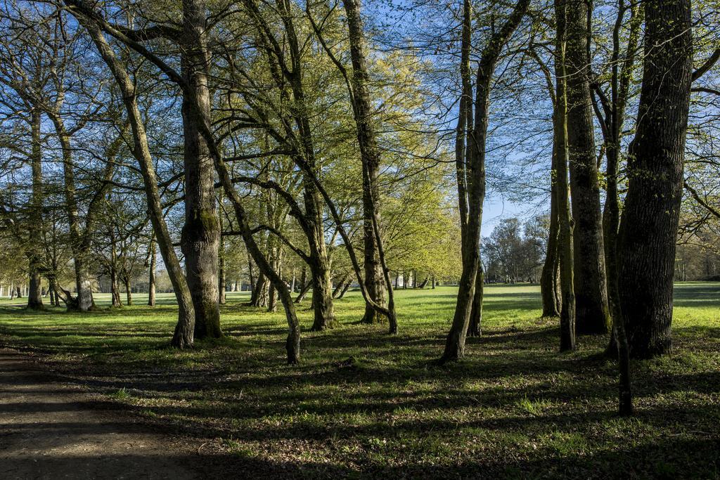 Chateau Des Briottieres Champigne Exterior photo